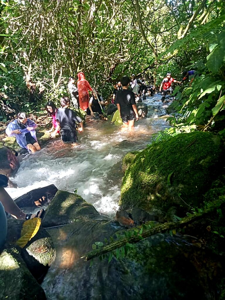 eagle hill camp tracking sungai